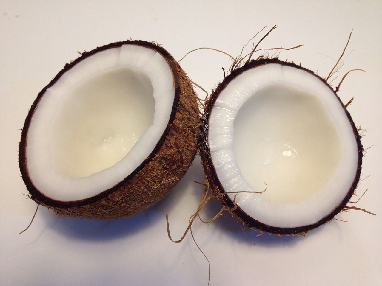 SH_Coconut